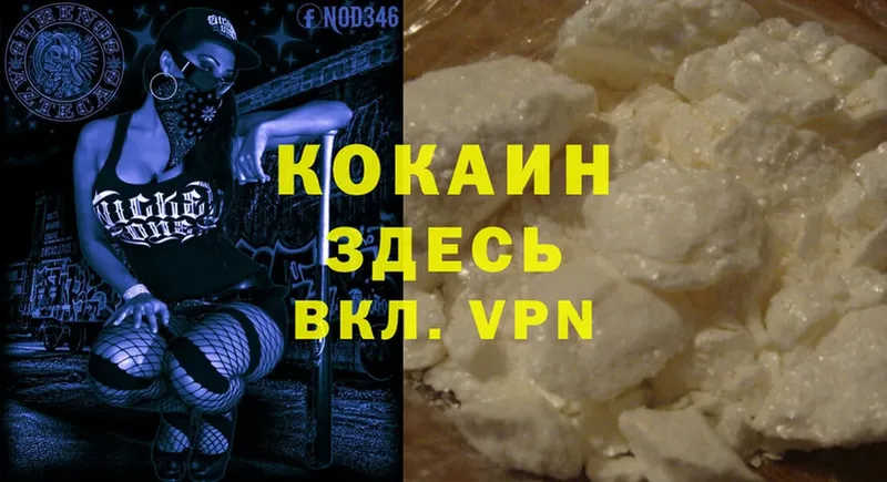 Cocaine Эквадор  MEGA сайт  Аргун  где можно купить  